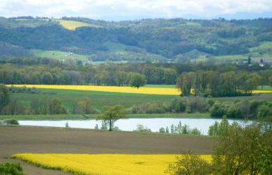 Gite Au Bouzigues - Photo 2