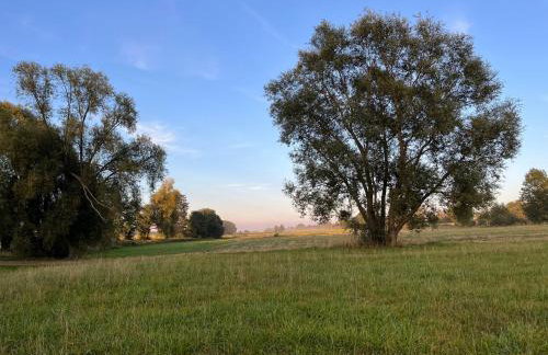 Kasztanówka - dom gościnny na Podlasiu, agroturystyka - Foto 30
