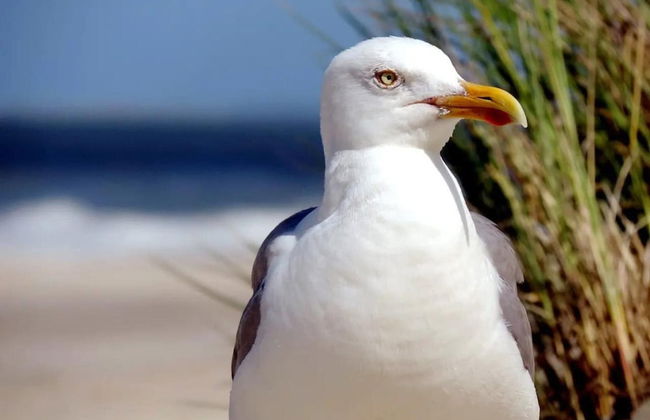 Nice Countryside Home With Garden - Photo 33