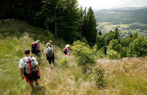Küken Winterberg - Foto 52