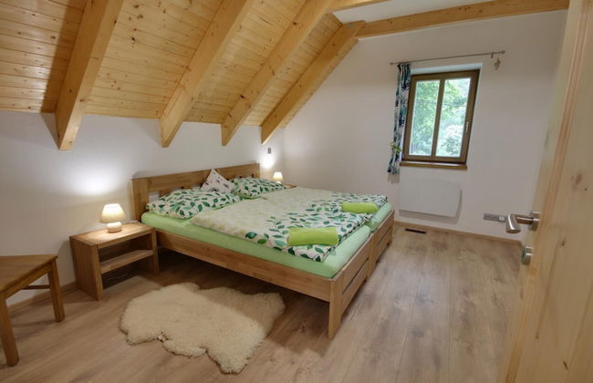 Korenov Lpm010 in Korenov - Foto 36