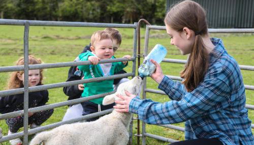 GlenHaven Holiday Accommodation - Photo 2