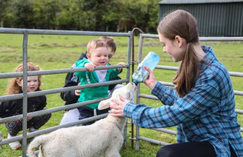 GlenHaven Holiday Accommodation - Foto 2