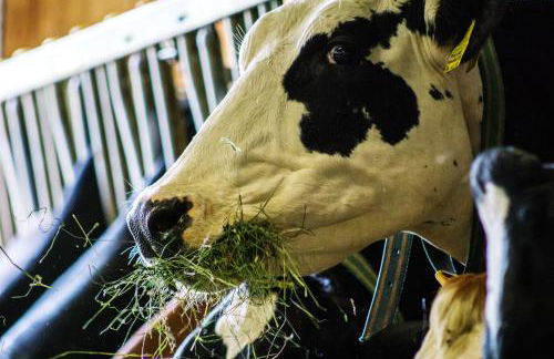 Appartments Neuhof - Photo 18