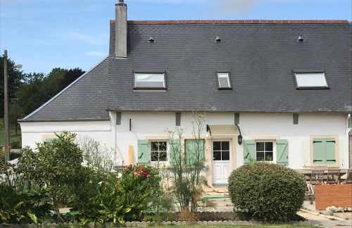 La ciboulette - Foto 1