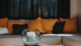 Tiny House Lebenshofalpakas - Foto 4