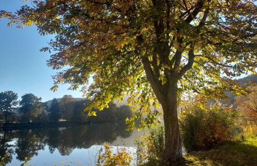 Main Lieblingsplatz - Foto 11