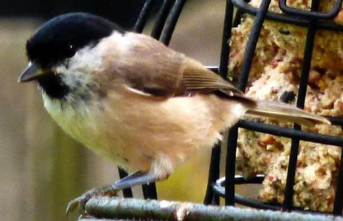 The Old Mill Cottage - Foto 67