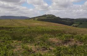 Lucea Cottage - Foto 36