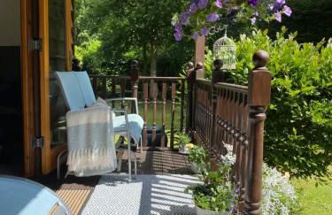 The Cabin, Roundabout Lane - Foto 9