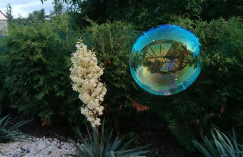 Osada Natura - Photo 111