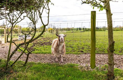 The Lodge at Greenbank Farm - Foto 21
