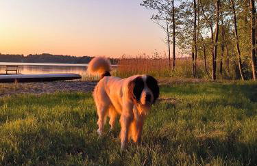Przystań Jeziorany - willa nad jeziorem - Warmia i Mazury - Foto 77