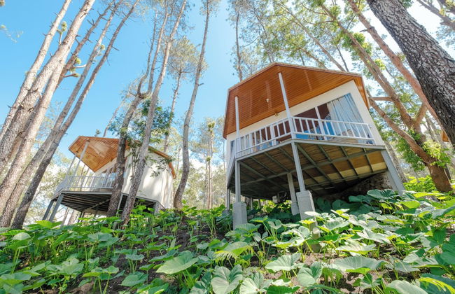 La Pino Mount Batur and Hot Spring - Foto 30