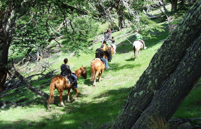 Excursion au Cerro Frías - Photo 3