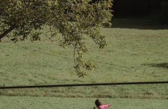 VIBE LUXURY CABINS - Foto 14