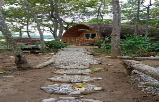 MeroStay 006 Nepal Himalayan Paulownia Resort - Photo 5