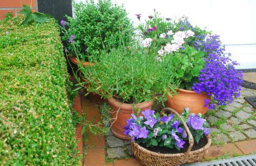 Ferienhaus Angelika - Foto 7