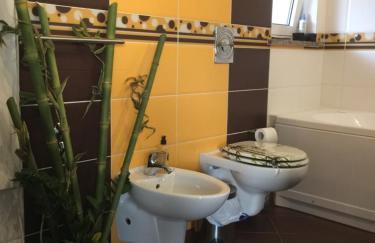Villa Dinka VIP apartmani - Foto 54