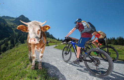 Ferienwohnung Pölzl - Photo 7