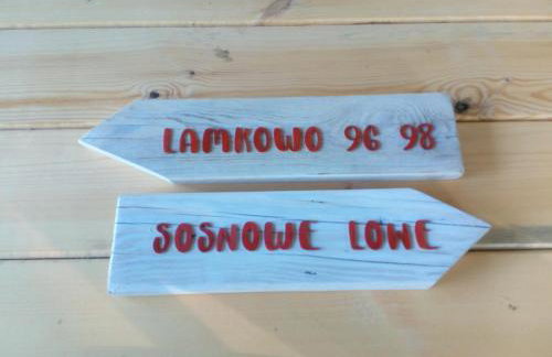 sosnowelowe - Foto 68