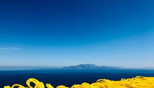 Sterna Artists Studio - Foto 2