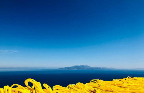 Sterna Artists Studio - Foto 2