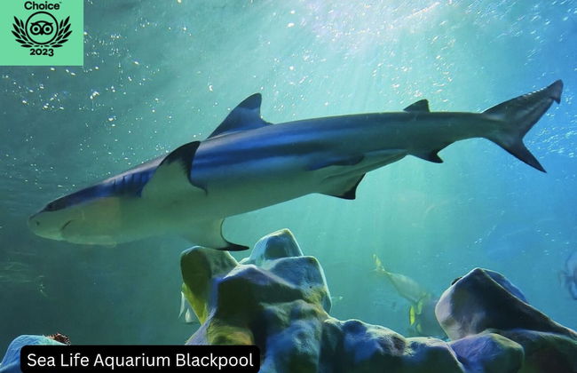 Manor House Farm - Foto 52