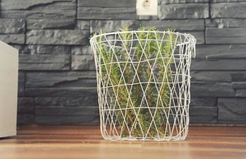 Apartment Andrija - Photo 34