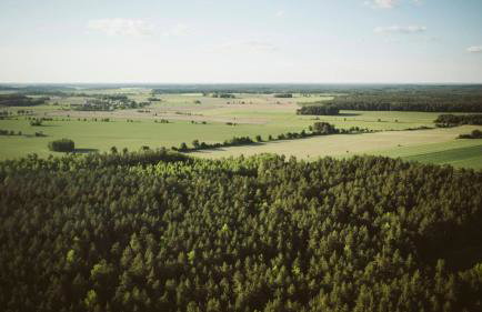 Agroturystyka u Miłosza - Foto 25