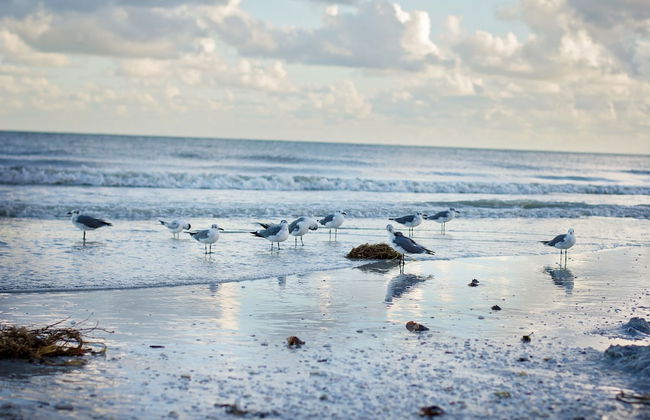 Sanibel Moorings Condo Resort - Foto 34