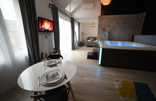 Eaudyssée maison avec SPA privée - Loiret - Photo 7