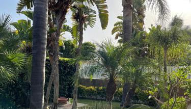 Villa Antonella - Foto 2