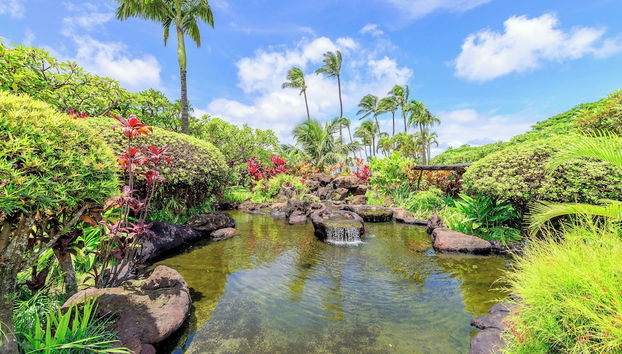 Napili Shores F246 - Foto 4, Exterior