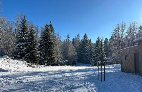 Gîte de prestige en pleine nature - Foto 48