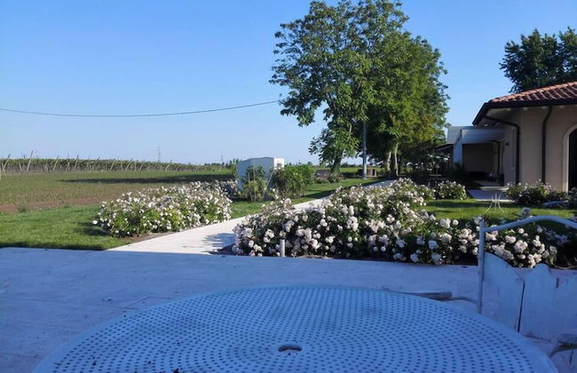 Agriturismo La Borina - Foto 79