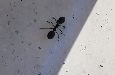 HR PARADISE CALA DE LA VILA JOIOSA - Photo 49