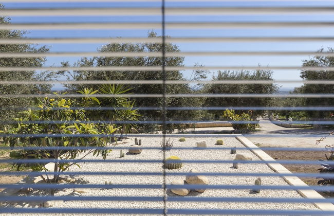 Tenuta Olive Alive - Foto 30