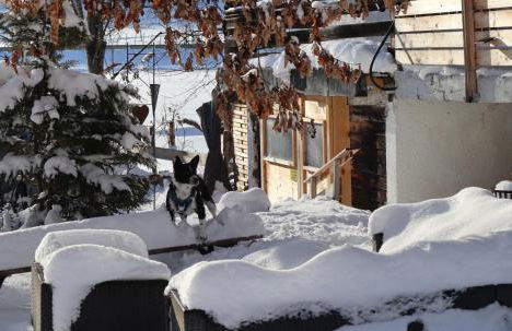 Beim Patzelt - Ferienhaus in Nesselwang - Foto 24