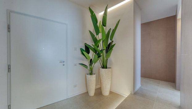 Entrada (vista interior)