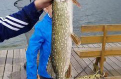 Domki przy jeziorze z prywatną plażą w Borach Tucholskich Pensjonat Alicja wczasy z dziećmi nowe luksusowe domki na skraju jeziora i lasu - Foto 43