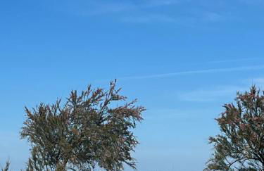 Villa des pins - Foto 6