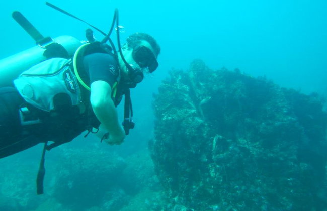 Beginner’s Dive: Your First Underwater Adventure - Photo 7
