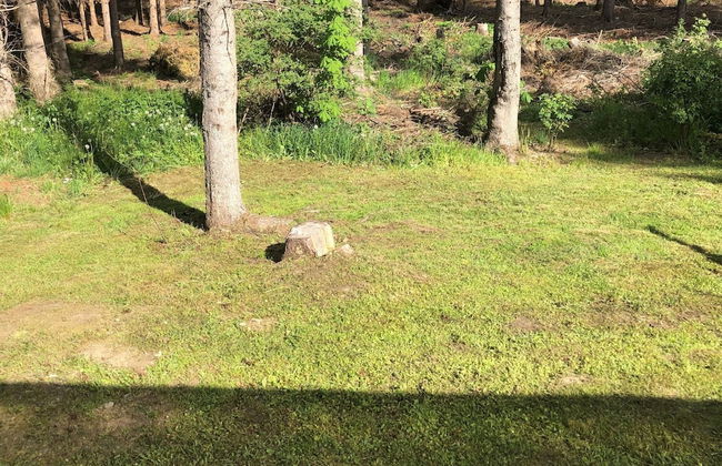 Holiday Home Near Harzgerode With Whirlpool - Foto 26