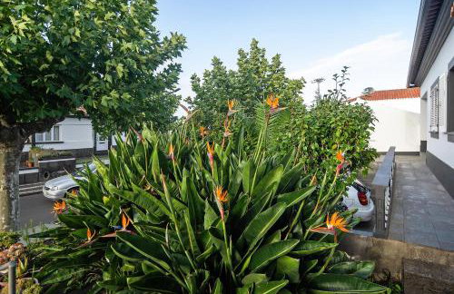 Bettencourt House - Foto 35