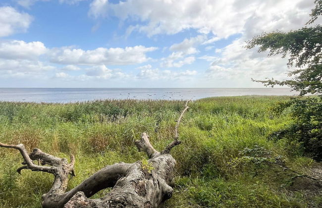 9 Person Holiday Home in Praesto - Foto 22