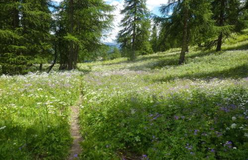 Skis aux pieds station 1600 Sun Vallée - Foto 33
