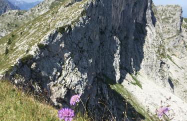 Bergnest Bad Bayersoien - Foto 22