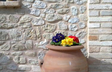 Agriturismo Fonte Carra - Foto 10