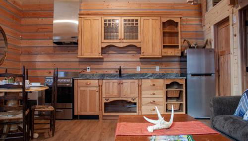 Denali Wild Stay - Redfox Cabin, Free Wifi, private, sleep 6 - Foto 4